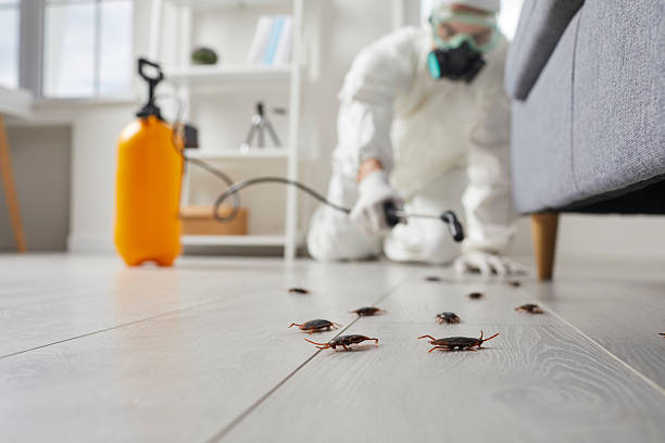 Trusted Cockroach Control service in Valley Green, PA - Nex Pest Control