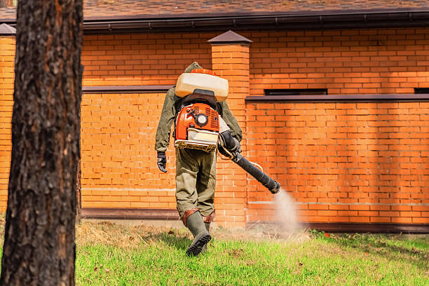 Trusted Termite Control service in Valley Green, PA - Nex Pest Control